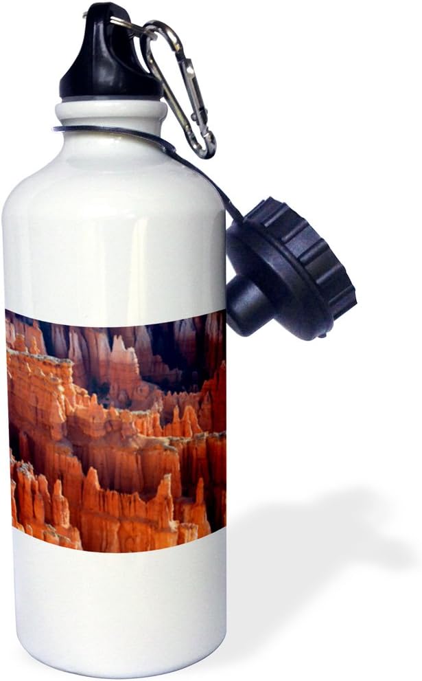 3dRose Hoodoos, Amphitheater, Bryce Canyon NP, Utah, USA. -Sports Water Bottle, 21oz , Multicolored