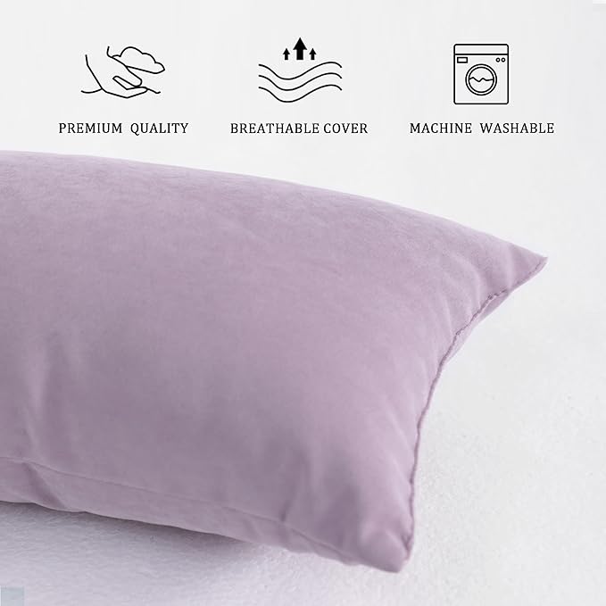 BEDSUM 2 Pack Pillows, 13"x18" Microfiber Pillows for Travel, Pets, Soft and Machine Washable Small Pillows for Neck, Wrist, and Knee Comfort, Lavender