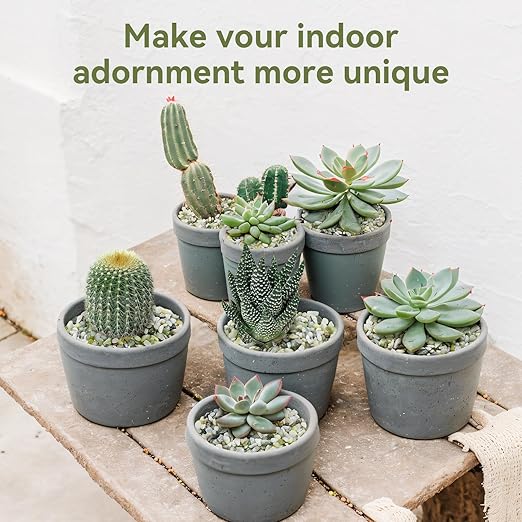 5LB Succulent and Cactus Pebbles, 1/5 Inch Jade Pebbles for Indoor Plants, Decorative Gravel for Vases, Bamboo, Succulent, Terrarium, Crafts, Cactus