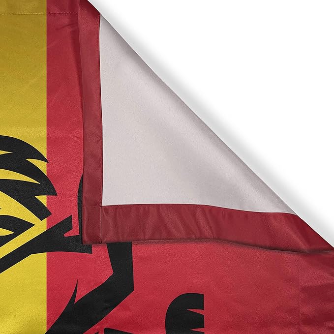 Ambesonne Rasta Long Kitchen Curtains, Lion a Rastafari Flag Jungle Reggae Theme Art Colorful Cultural Folkloric Print, Two Panels Drapes with Rod Pocket Room Decor, 55" x 45", Yellow Red