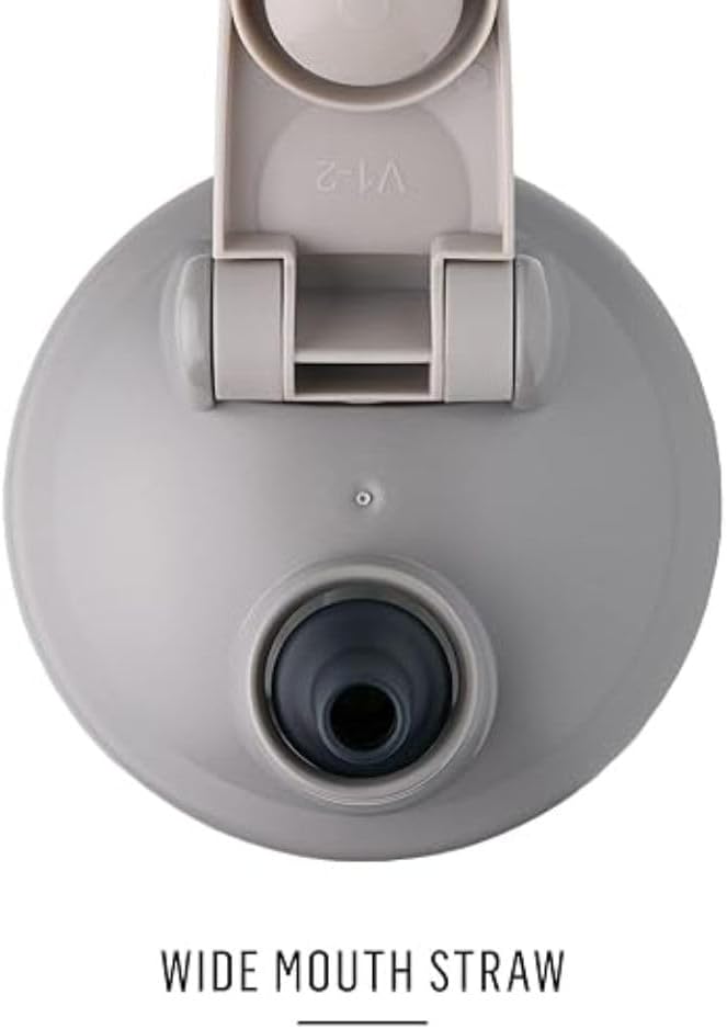 BlenderBottle Strada Sleek 25-Ounce Insulated Stainless Steel Water Bottle and Stay-In-Bottle Reusable Silicone Straws for Shaker Bottles (2 Pack)