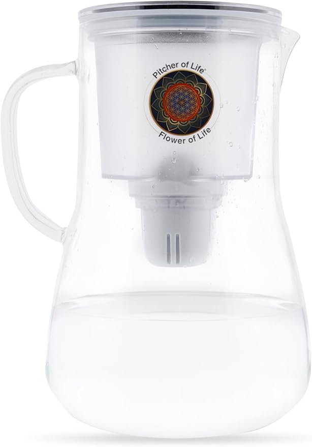 Borosilicate Glass Alkaline Water Pitcher of Life with Stainless Steel Fruit infuser Glass Water Filter Pitcher with Lid Clearly Filtered Water Pitcher Increases pH NSF/ANSI 42 & 61 Certified Filters