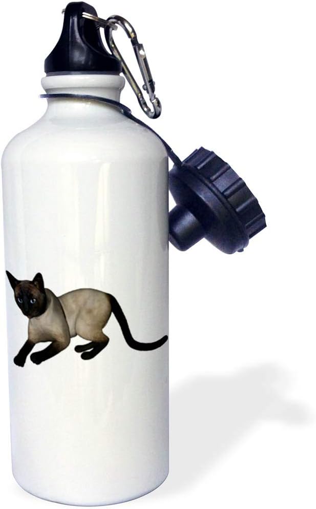 3dRose "Laying Siamese Cat" Sports Water Bottle, 21 oz, White