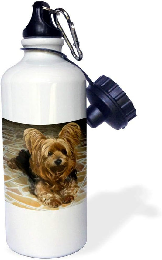 3dRose cute Yorkshire terrier dog with a drawing effect-Sports Water Bottle, 21oz , 21 oz, Multicolor