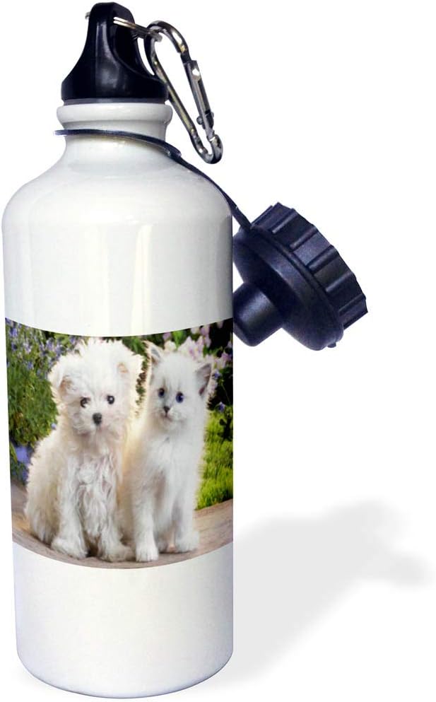 3dRose "Adorable White Puppy N White Kitten Sports" Water Bottle, 21 oz, Natural