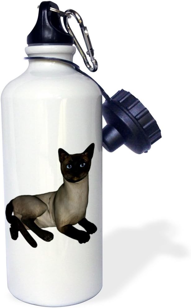 3dRose "Siamese Cat Laying Down" Sports Water Bottle, 21 oz, White