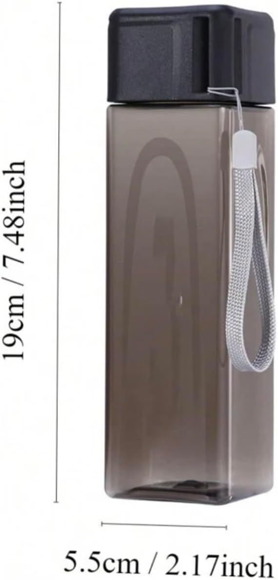 500ml LASSY Clear Trendy Aesthetic Water Bottle with Wristlet, Stainless Steel, for Sports, Travel, Gym (Pink)