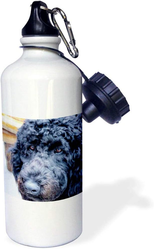 3dRose Poodle-Sports Water Bottle, 21oz , 21 oz, Multicolor