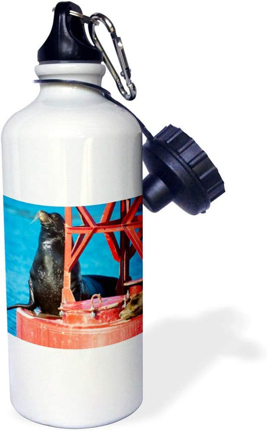 3dRose USA, Washington, Puget Sound California Sea Lion on a Channel Buoy Sports Water Bottle, 21oz, Multicolored