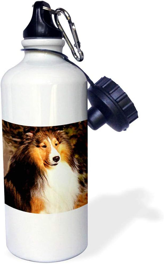 3dRose "Sable Border Collie" Sports Water Bottle, 21 oz, White