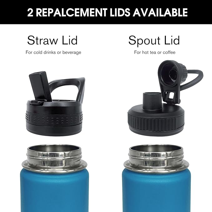 4pack 22 oz Insulated Water Bottle With Straw, Stainless Steel Sports Water Cup Flask with 2 Lids, Wide Mouth Travel Thermal Mug,Navy Black