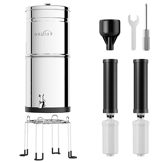 2.25G Gravity-Fed Water Filter System, NSF/ANSI Standard, 304 Stainless Steel System with 2 Carbon Filters, 2 Fluoride Filters and Stand, Reduce 99% Chlorine, Lead and Fluoride