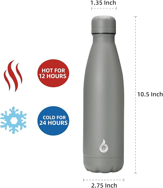 BJPKPK Insulated Water Bottle 17oz Stainless Steel Water Bottles Dishwasher Safe Sports Water Bottles-Gray