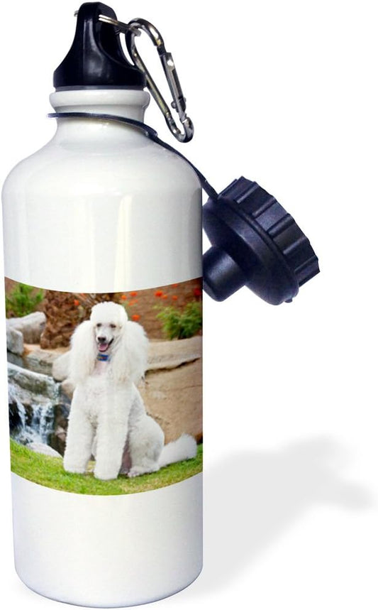 3dRose Use, USA, California. Standard Poodle sitting near cascade. -Sports Water Bottle, 21oz , Multicolored