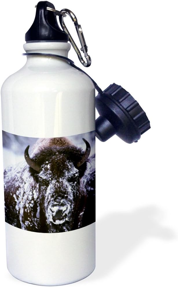 3dRose "Yellowstone NP, Bison in Winter US51 CSL0007 Charles Sleicher" Sports Water Bottle, 21 oz, White