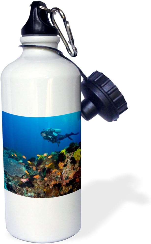 3dRose "Scuba Diving, Apo Island, Philippines-AS29 SWS0139 Stuart Westmorland" Sports Water Bottle, 21 oz, White