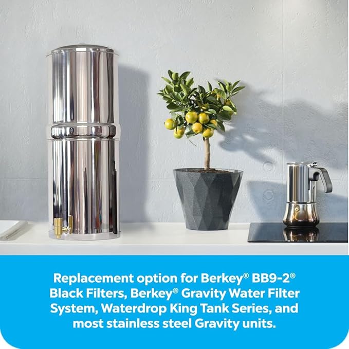 Authentic CB9 Clearbrook 9-Inch Gravity-Fed Water Filter Systems, Replacement For Berkey BB9-2 High-Performance Water Filtration, No Electricity Needed (Set of 2)