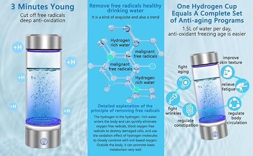 420-450 ml 2024 Glass Hydrogen Generator Water Bottle SPE PEM Technology Water Ionizer, Rechargeable Hydrogen Water Bottle, Hydrogen Rich Water Glass (Silver)