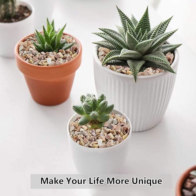 2LB Succulent and Cactus Gravel Pebbles, 1/5 Inch Natural Decorative Polished Stones, River Rocks for Plants, Vases, Aquariums, Terrarium and Outdoor Gardening,Peach