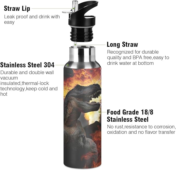 Blueangle Dinosaurs World Stainless Steel Water Bottle with Straw, BPA Free Reusable Leakproof Water Jug for Fitness Camping Outdoor Sports