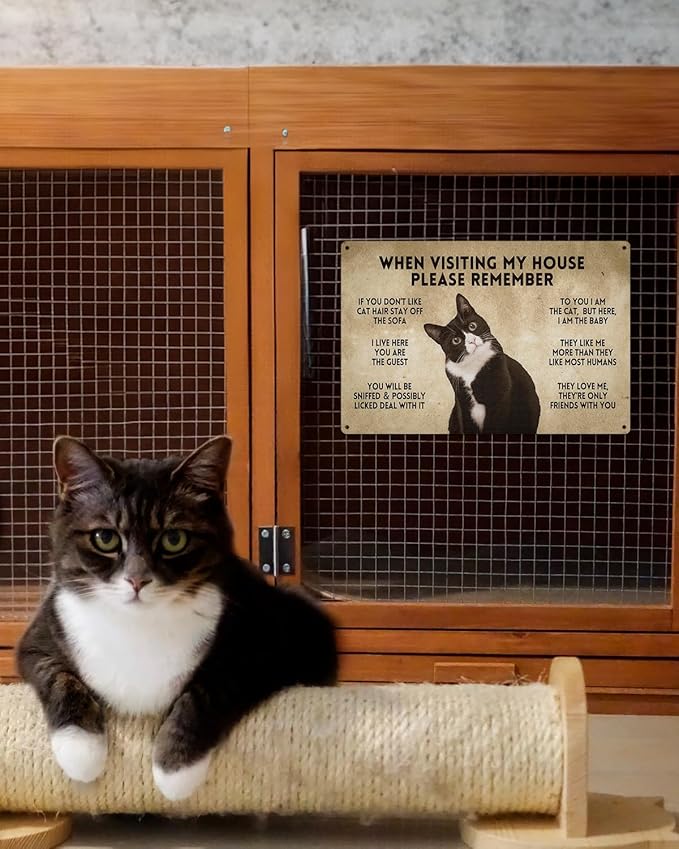 ALKB Funny Tuxedo Cat-Themed Sign 8x12 Inch - Visitor’s Guide to Interacting with Cats - Gift for Cat Lovers’ Home Decor