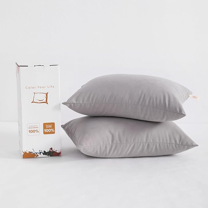BEDSUM 2 Pack Pillows, 13"x18" Microfiber Pillows for Travel, Pet, Soft and Machine Washable Small Pillows for Neck, Wrist, and Knee Comfort, Light Grey