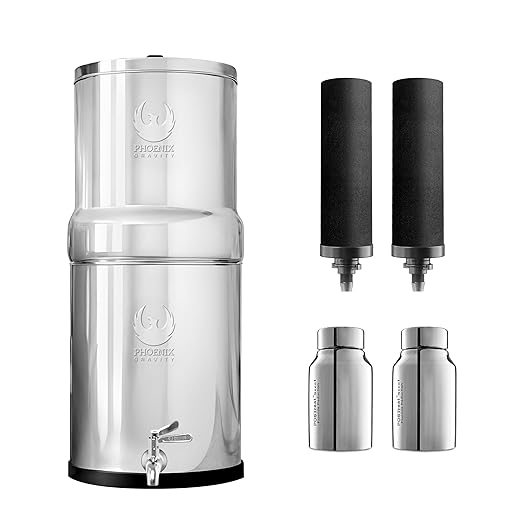 1.5 Gallons NSF Certified AISI 304 Stainless Steel Water Filter with 2 Smart Carbon (Black) Filters, 2 POSTreat Steel Fluoride Removal Elements & Free Stainless Steel Spigot