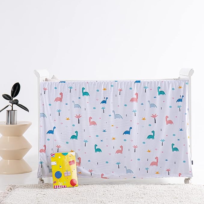 Baby Blanket for Boys Girls Super Soft Blanket,Fluffy Warm Lightweight Baby Receiving Blankets,Double Layer with Dotted Backing for Toddler Nursery (Dinosaur, 50 * 60inch)