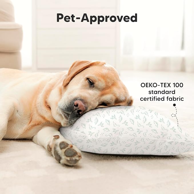 2-Pack Toddler Pillow - Soft Organic Cotton Toddler Pillows for Sleeping - 13X18 Small Pillow for Kids - Kids Pillows for Sleeping - Kids Pillow for Travel, School, Nap, Age 2 to 5 (DinoLand)