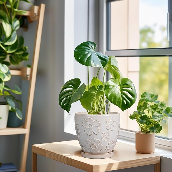 6.9 Inch Plant Pot with Drainage Hole and Saucer Ceramic Planter for Indoor Plant Flower Pot for Orchid Succulents Plants White