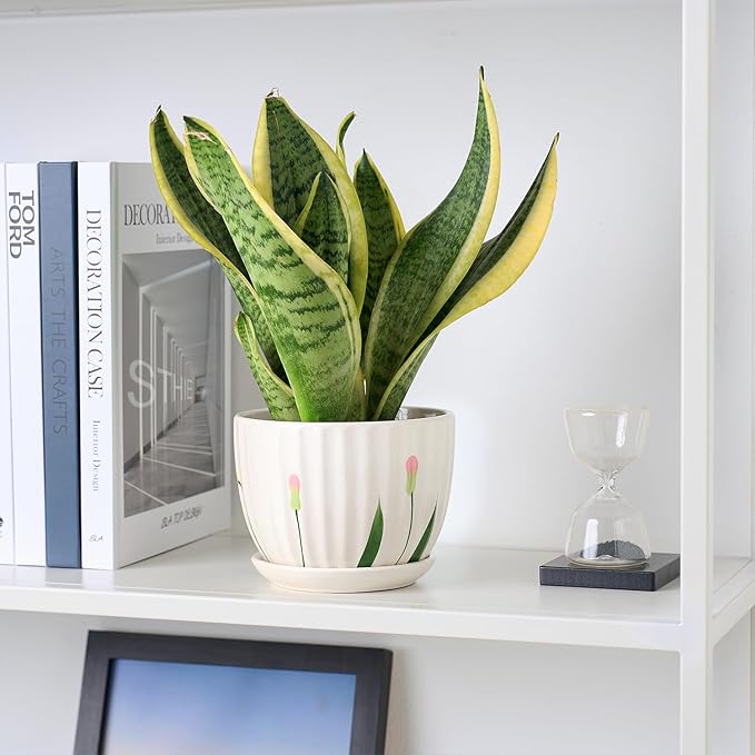 4/5/6 Inches Ceramic Plant Pots with Drainage Holes and Saucers, Round Flower Pots for Indoor Plant, Small Flower Planters Set of 3 (White Floral-Big Size)