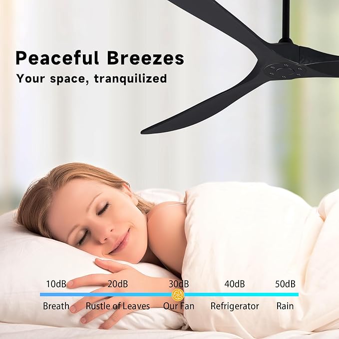 Bigzone 88" Large Black Ceiling Fan With Remote Control, DC Motor Quiet Energy Saving,3 Black Balsa Wood Blades,Outdoor/Indoor Ceiling Fan With Reversible Blades