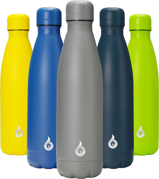 BJPKPK Insulated Water Bottle 17oz Stainless Steel Water Bottles Dishwasher Safe Sports Water Bottles-Gray