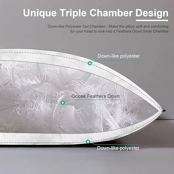 APSMILE Medium Firm Feather Down Pillows Queen Size Set of 2, Luxury Goose Feather Pillow for Sleeping, 600TC/DM Organic Cotton Cover Hotel Bed Pillow, Wrapped in Polyester (White, 20"x30")