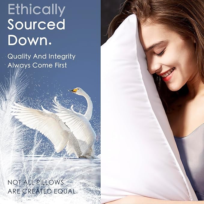 100% Canadian White Down Pillow - Luxury Sleeping Pillow for Back, Stomach & Side Sleepers - 800 Fill Power Bed Pillow (Queen-Soft)