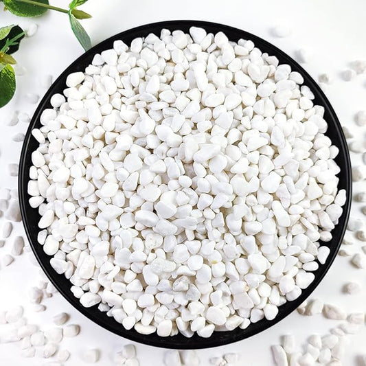 2LB Succulent and Cactus Gravel Pebbles, 1/5 Inch White Natural Decorative Polished Stones, River Rocks for Plants, Vases, Aquariums, Terrarium and Outdoor Gardening,White