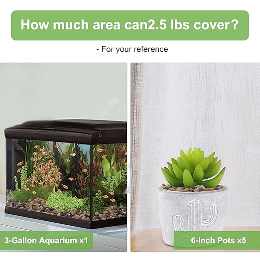 5 lbs Drainage Rocks for Potted Plants, 1/5 Inch Small Pebbles for Indoor Plants, Decorative Gravel for Vases, Bamboo, Succulent, Terrarium, Crafts, Cactus