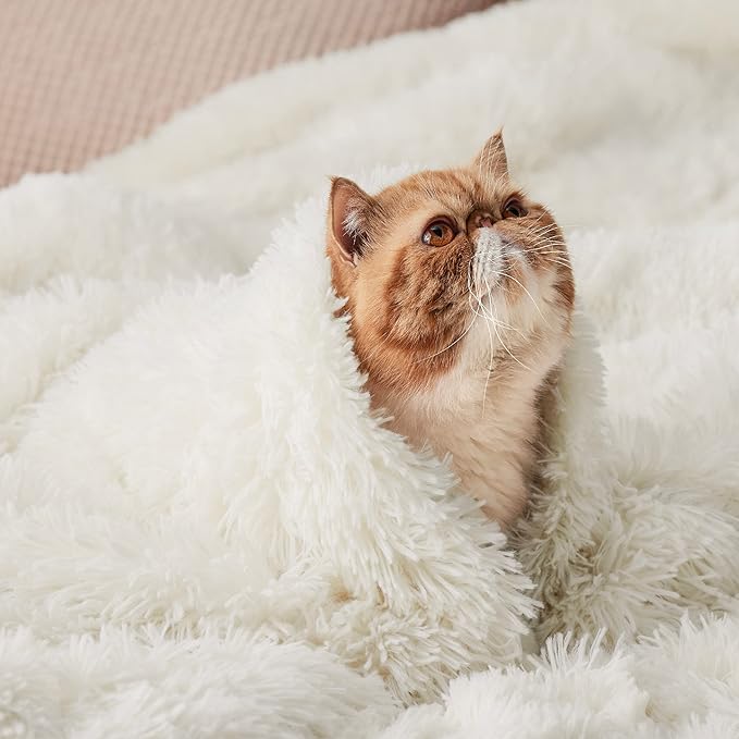 Bedsure GentleSoft Fluffy Cream Throw Blanket Decorative Blankets for Bed Couch Sofa, Cream Decor Sherpa Fleece Soft Cozy Fuzzy Plush Thick Warm Faux Fur Decorations, Ivory Baby Girl Gifts, 50x60