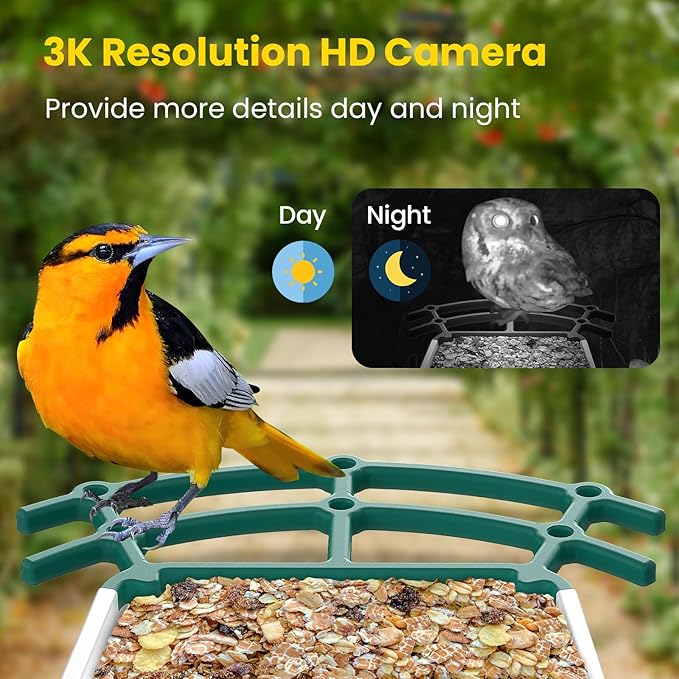 Bird Feeders for Outdoors, Smart Bird Feeder with Camera Solar Powered, AI Species Identification, 3K Video Live Stream Camera, 5Mp HD Night Vision, Instant Arrival Alerts