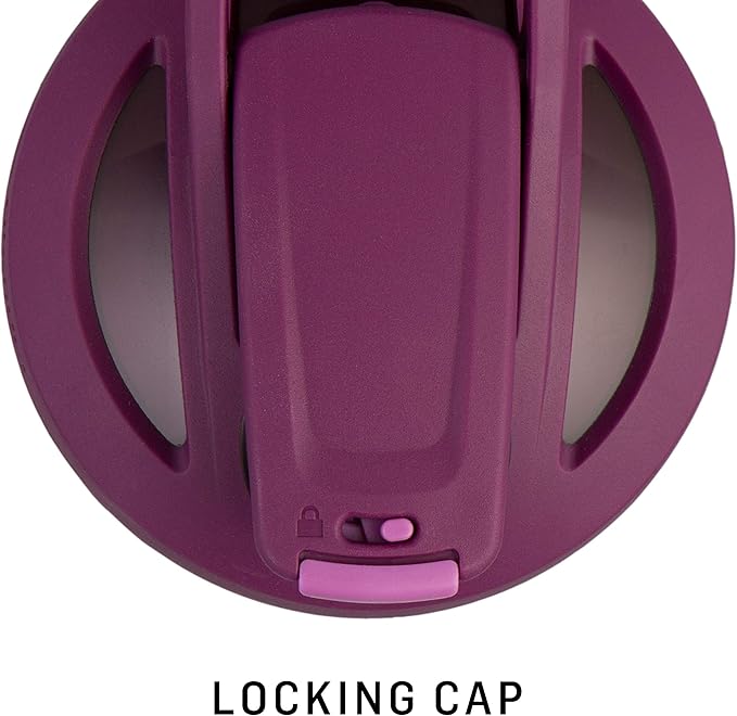 BlenderBottle Strada Shaker Cup Insulated Stainless Steel Water Bottle with Wire Whisk, 24-Ounce, Plum