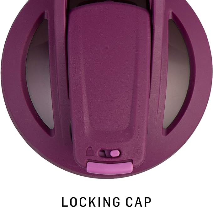 BlenderBottle 24-Ounce Stainless Steel Shaker Cup Bundle with Wire Whisk, Blue and Black