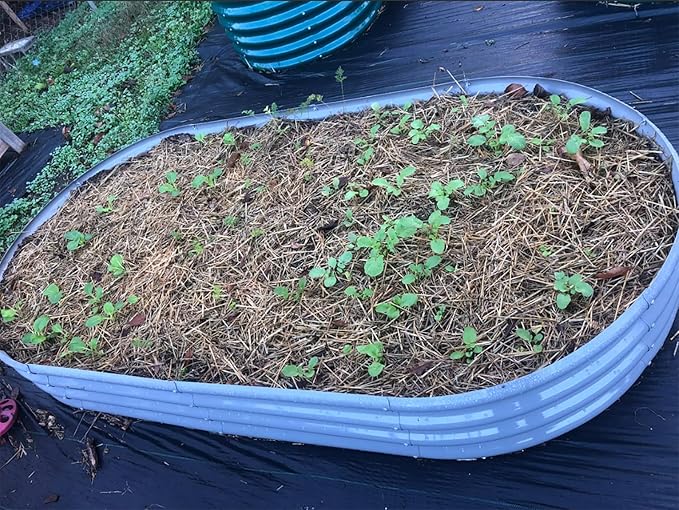 2 Pack 8x4x1FT Galvanized Raised Garden Bed Kit Oval Metal Ground Planter Box Outdoor Bottomless Planter Raised Beds for Vegetables Flowers Herbs Fruits, Gray