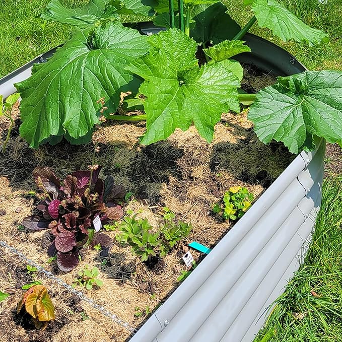 1 Pack 8x3x1.5FT Galvanized Raised Garden Bed Kit Oval Metal Ground Planter Box Outdoor Bottomless Planter Raised Beds for Vegetables Flowers Herbs Fruits, Gray