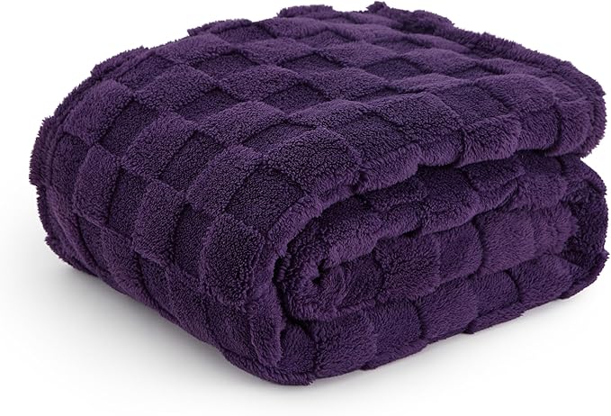 Bedsure GentleSoft Twin Blanket for Bed Purple - Super Soft Cozy Blankets for Women Men Girls, Cute Fuzzy Fleece Throws for Bedroom Couch, 60x80 Inches