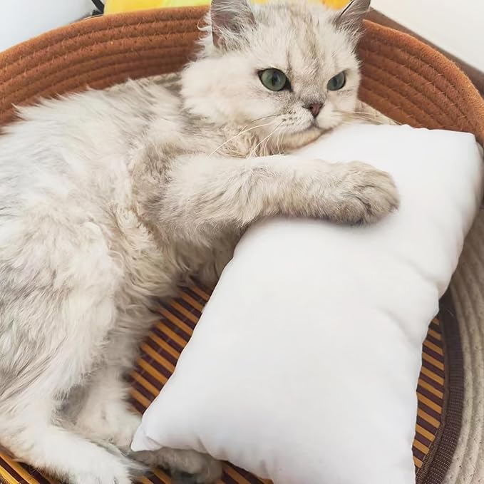 BEDSUM 2 Pack Pillows, 13"x18" Microfiber Pillows for Travel, Pets, Soft and Machine Washable Small Pillows for Neck, Wrist, and Knee Comfort, Lavender