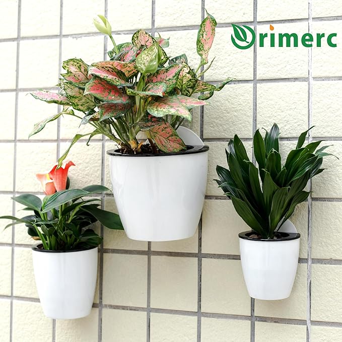 3 Pack Self Watering Wall Hanging Planter Pots Vertical Garden Window Hang Mount Indoor Outdoor Plant Flower Basket for Kitchen Herbs Balcony Railing Shelf Fence Bedroom Trellis Decor Modern White Box