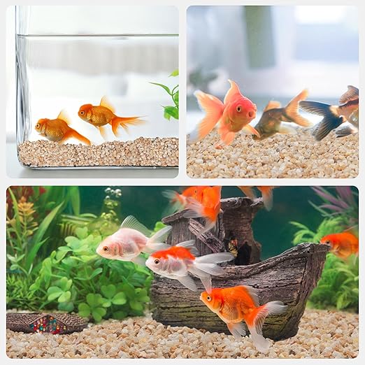 2.5 lbs Coarse Silica Sand for Indoor Plants, 1/5 Inch Natural Decorative Gravel for Vases, Aquariums, Terrarium, Fish Tank, Drainage Rocks for Potted Plants, Bamboo, Succulent, Crafts, Cactus