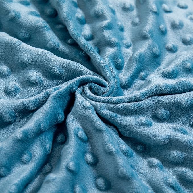 Baby Blanket for Boys Girls Super Soft Blanket,Fluffy Warm Lightweight Baby Receiving Blankets,Double Layer with Dotted Backing for Toddler Nursery (Dinosaur, 30 * 40inch)