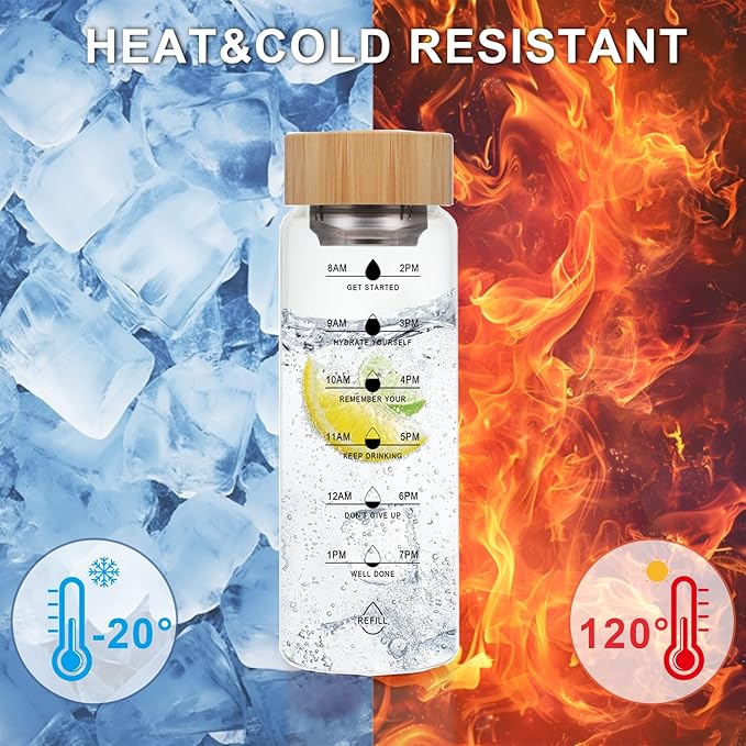 25oz Glass Water Bottle, Leak-Proof, with Stainless Steel Tea Infuser, BPA-Free, Suitable for Office, Car, Gym, and Travel, Reusable, for Hot and Cold Beverages (Circular-25oz)