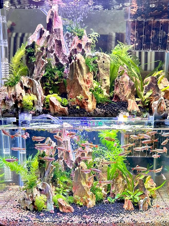 Aquarium Rocks Dragon Stone Natural Hardscape Stone for Aquariums, Fish Tanks, Bonsai, Terrariums, Wargaming Dioramas, Indoor or Outdoor Gardens-5Lb(2-6 Inch)